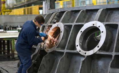 basic info: Beschäftigungsduldung und Härtefall